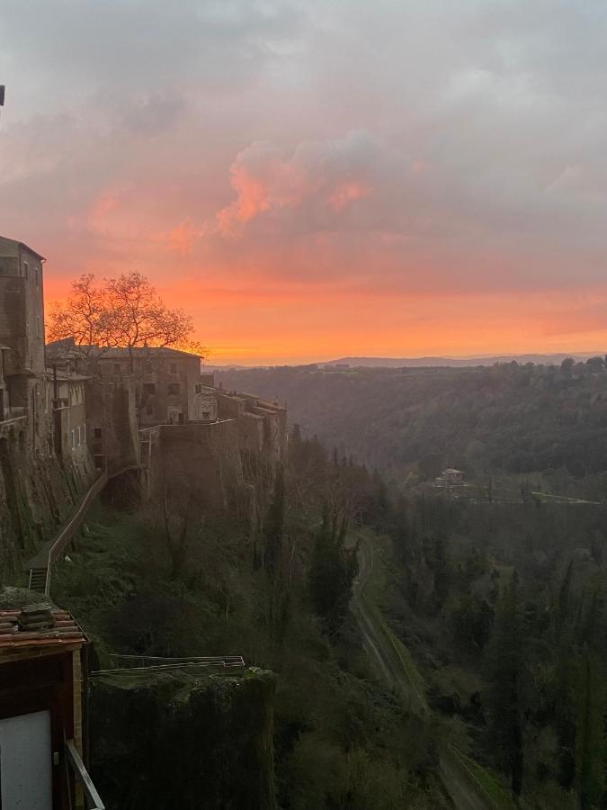La Sorpresa Sul Bastione With Panoramic Balcony Apartment Pitigliano Luaran gambar