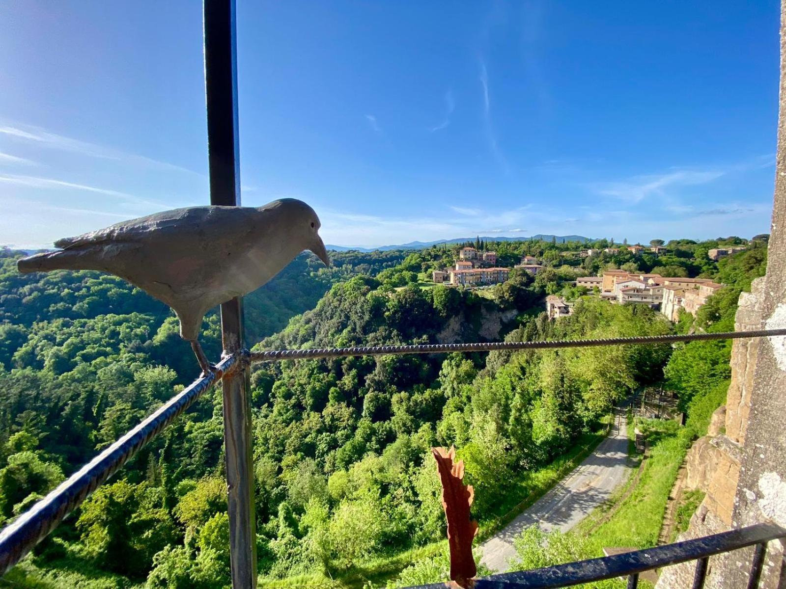 La Sorpresa Sul Bastione With Panoramic Balcony Apartment Pitigliano Luaran gambar